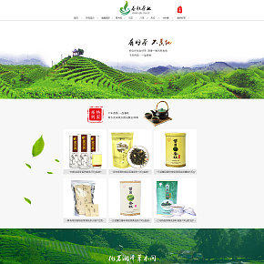 食品保健春茶上市首頁(yè)