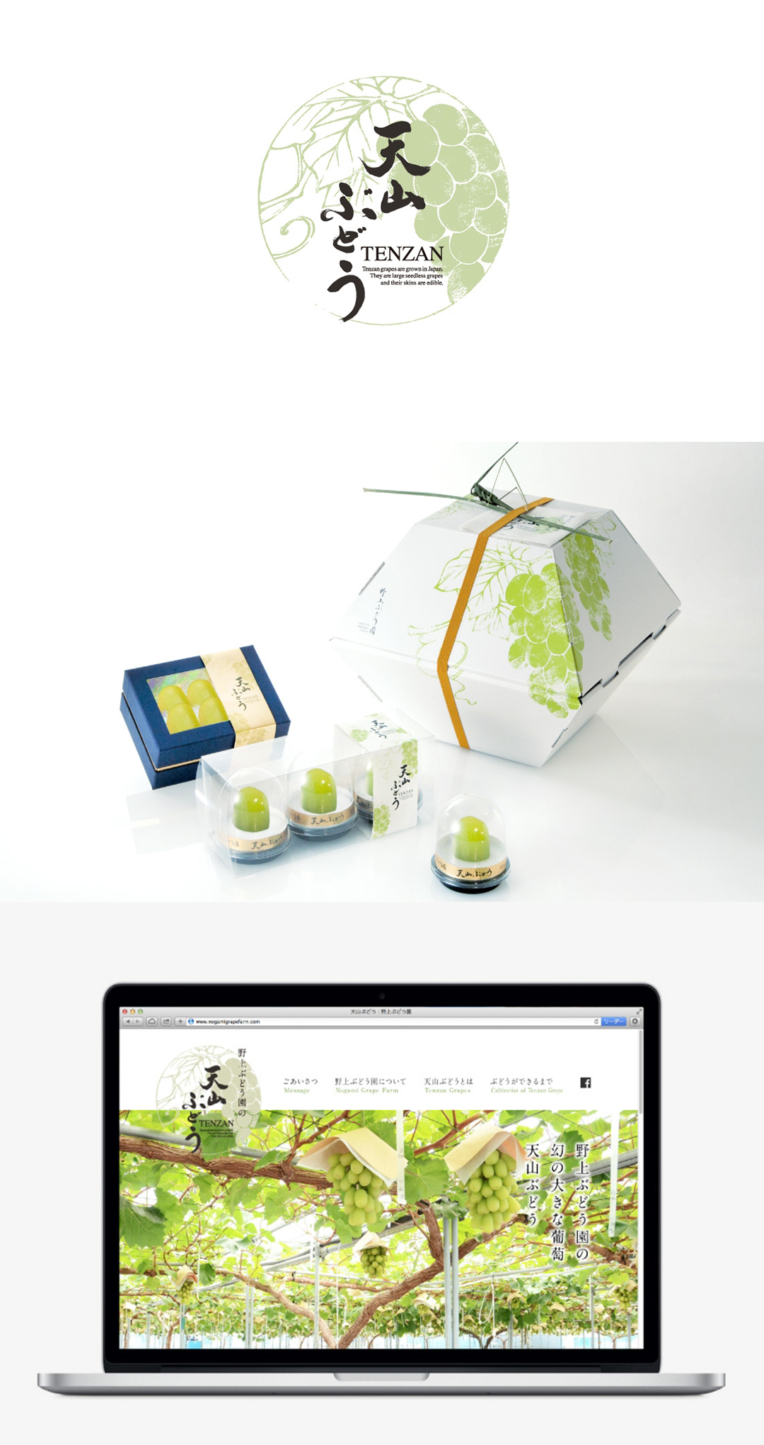 淘寶美工IDAweb天山葡萄VI設計作品