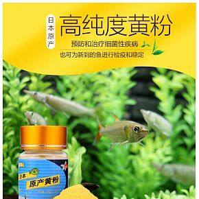 養(yǎng)魚用的黃粉高純度凈化水質(zhì)