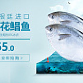 山海湶食品專營店首頁輪播海報(bào)清新,大氣,高端,簡約風(fēng)格