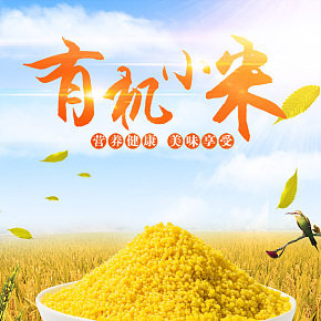 有機(jī)小米 綠色有機(jī) 純天然 無添加 無污染 純手工