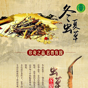 冬蟲夏草保健品詳情描述