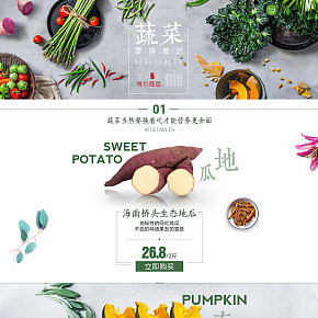 水果蔬菜專(zhuān)題簡(jiǎn)約頁(yè)面設(shè)計(jì)