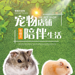 寵物萌寵陪伴