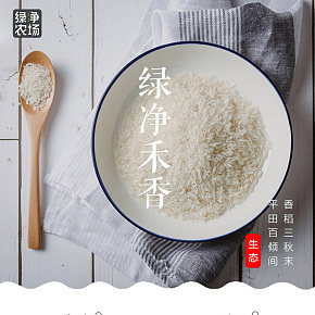大米食品保健土特產(chǎn)詳情頁(yè)