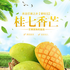 越南水果大青芒果新鮮現(xiàn)摘金煌特大芒果 芒果
