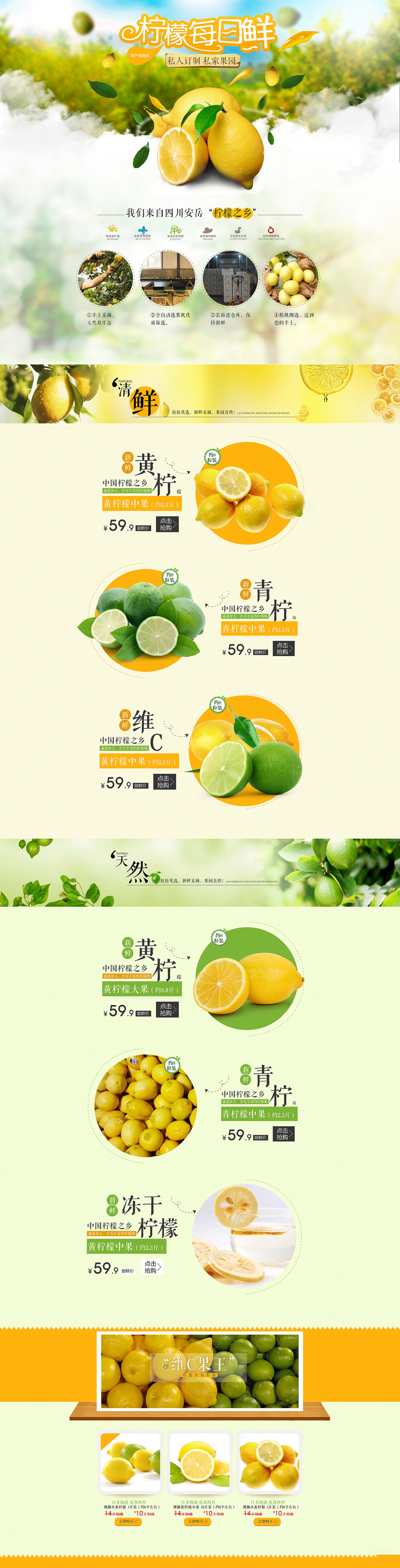 淘寶美工南喬檸檬首頁(yè)水果清新水果作品