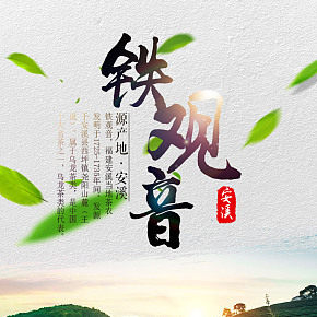 中國風(fēng)鐵觀音茶葉詳情頁2