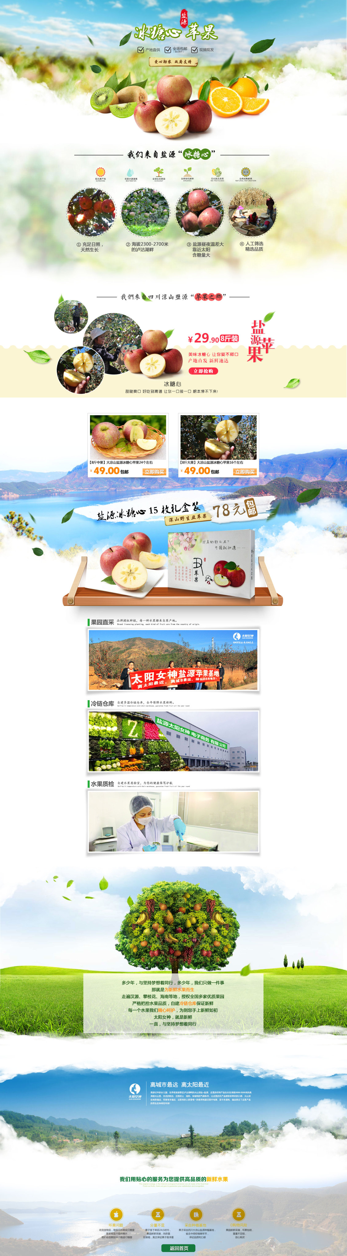 淘宝美工宁哥太阳女神特产店店铺装修 盐源苹果作品