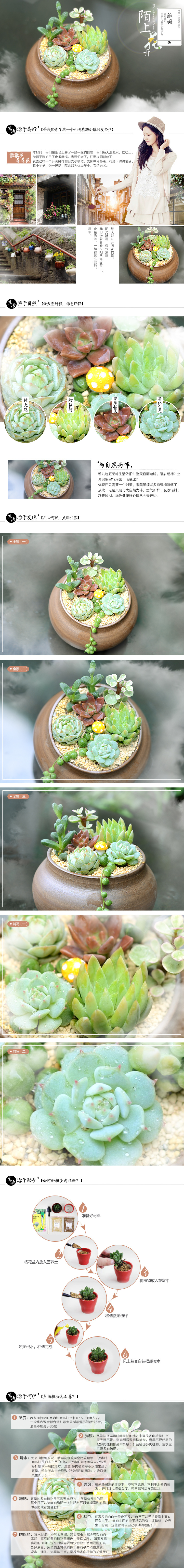淘寶美工小桂植物花卉多肉鮮花盆栽風(fēng)景植物詳情頁作品