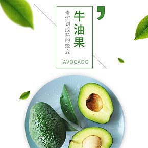 新鮮健康營養(yǎng)牛油果水果詳情頁