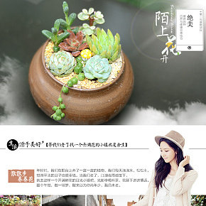 植物花卉多肉鲜花盆栽风景植物详情页