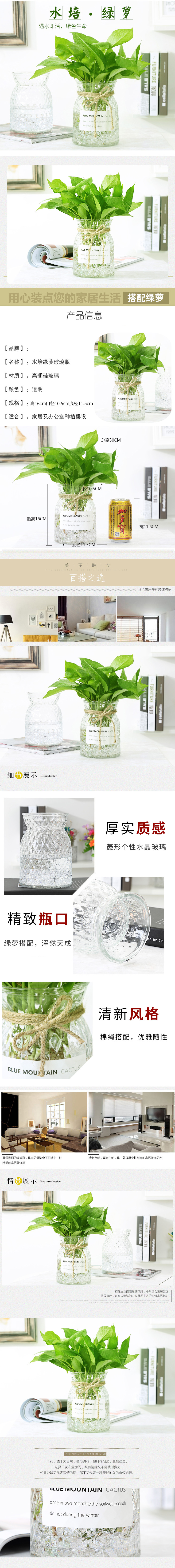 淘宝美工小柠檬北欧风水栽植物玻璃花瓶透明客厅创意绿萝水培花瓶摆件桌面新品作品