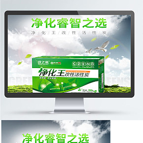 綠之源 凈化王經(jīng)濟(jì)裝活性炭包