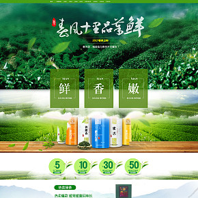 環(huán)保茶葉首頁