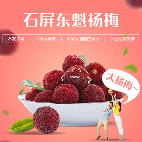 云南楊梅新鮮水果食品詳情頁