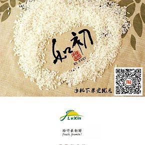 純正稻花香黑龍江大米