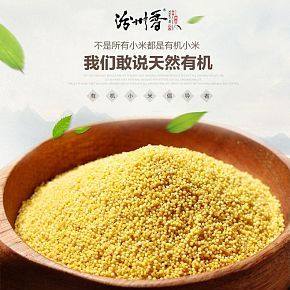 汾州香有機(jī)小米