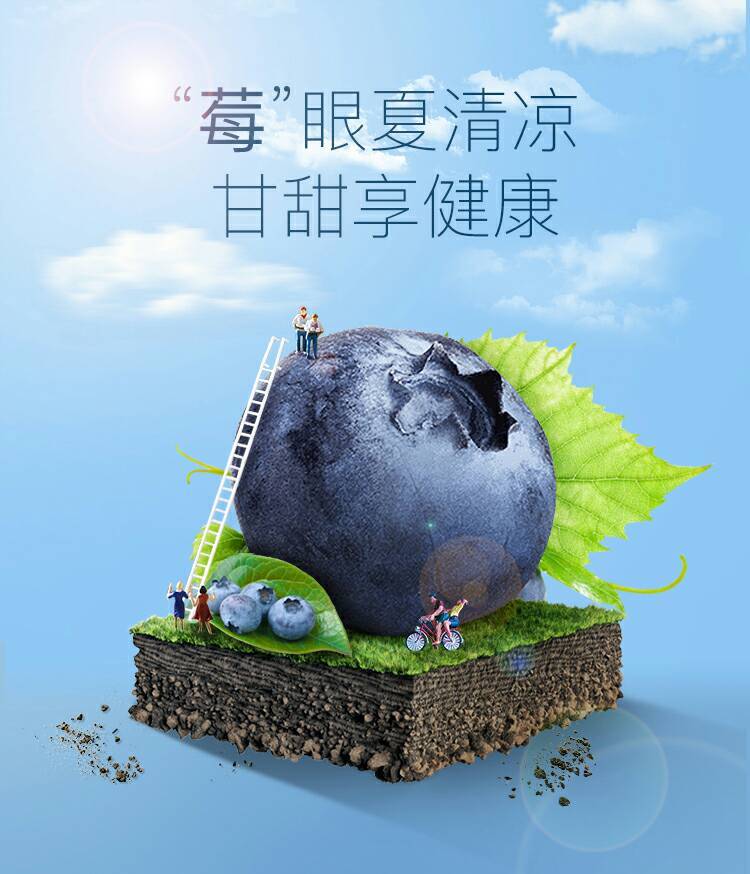 淘寶美工炫設(shè)計(jì)鮮食，水果，藍(lán)莓，食品，水果蔬菜，合成海報(bào)作品