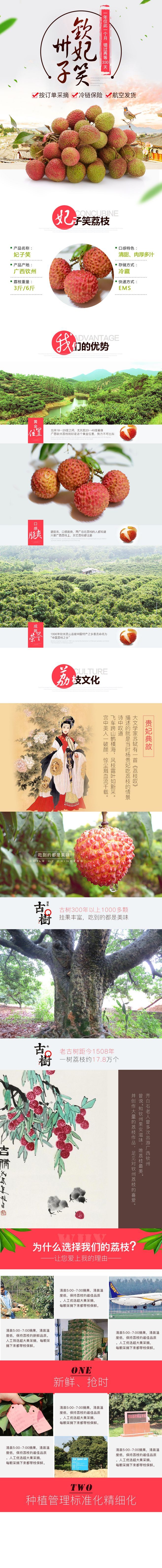 淘寶美工小欣子清甜荔枝妃子笑作品