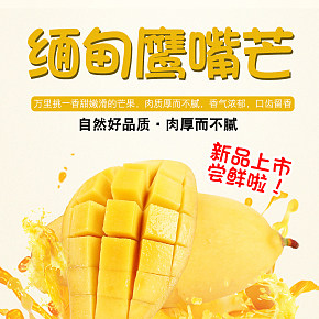 緬甸進(jìn)口鷹嘴芒果新鮮熱帶當(dāng)季水果詳情頁