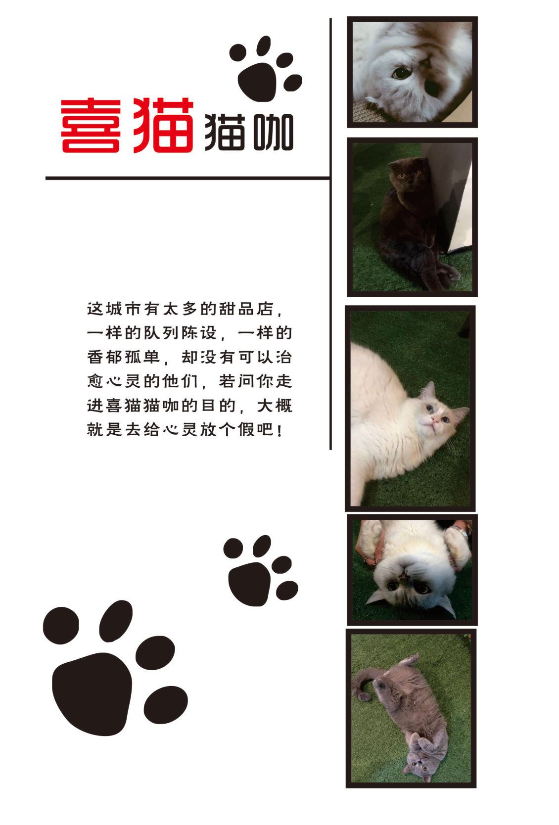淘寶美工Houhou15單頁  優(yōu)惠券作品