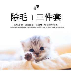 2018最火的去毛刷详情页