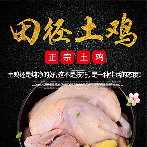 农村土鸡老母鸡