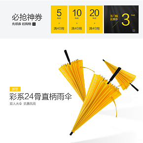 彩系24骨直柄雨伞