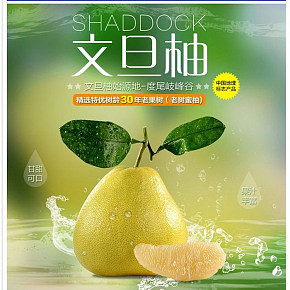 水果清新简约时尚