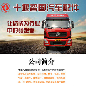 东风汽车配件脚踏板