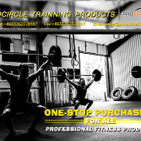 ProCircle导航 店招（Alibaba国际站）