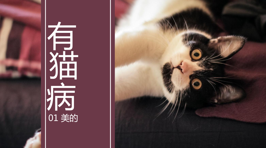 淘寶美工萊喜清新文藝風(fēng)banner海報(bào)新媒體首圖作品
