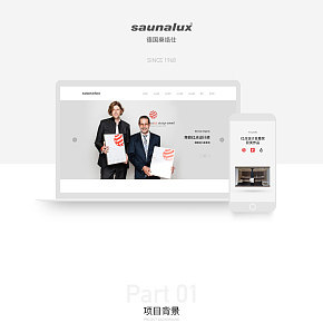 德国桑络仕 定制奢侈桑拿房 电商全案设计