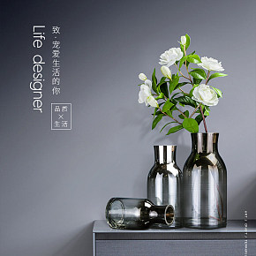 簡約現(xiàn)代透明玻璃花瓶插花客廳桌面花器創(chuàng)意家居軟裝飾品擺件歐式