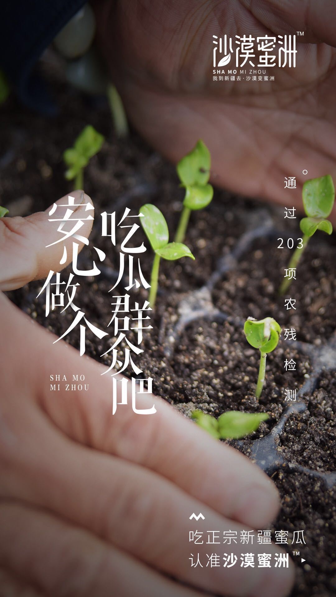 淘寶美工南小南蜜瓜海報(bào)，生鮮，微信推廣圖設(shè)計(jì)作品