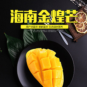 食品零食寵物食品水果保健