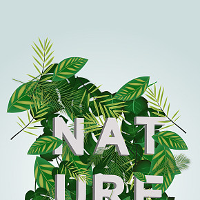 nature植物nature植物