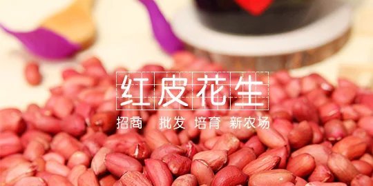 淘宝美工纯叶子中国网库交易网作品