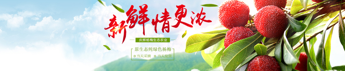 淘宝美工纯叶子中国网库交易网作品