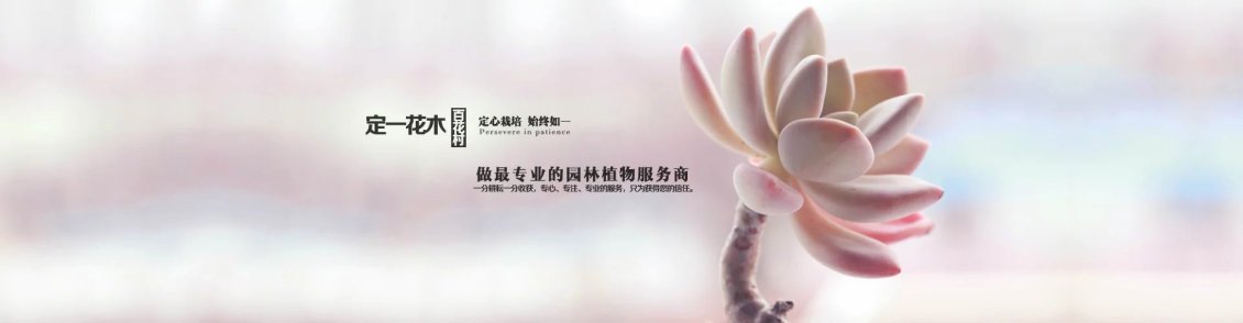 淘宝美工纯叶子中国网库交易网作品