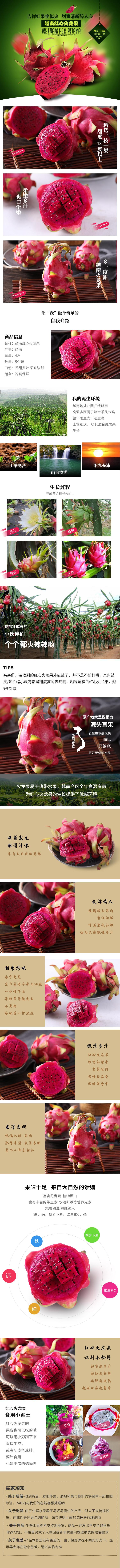 淘宝美工鼻尖火龙果 绿色 新鲜 美味作品