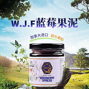 藍(lán)莓果醬 綠色 新鮮 進(jìn)口食品
