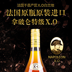 法國進(jìn)口白蘭地