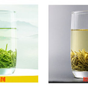 食品茶葉水杯精修圖