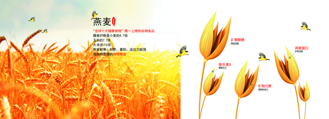 淘寶美工寶珊快消行業(yè)產(chǎn)品手冊作品