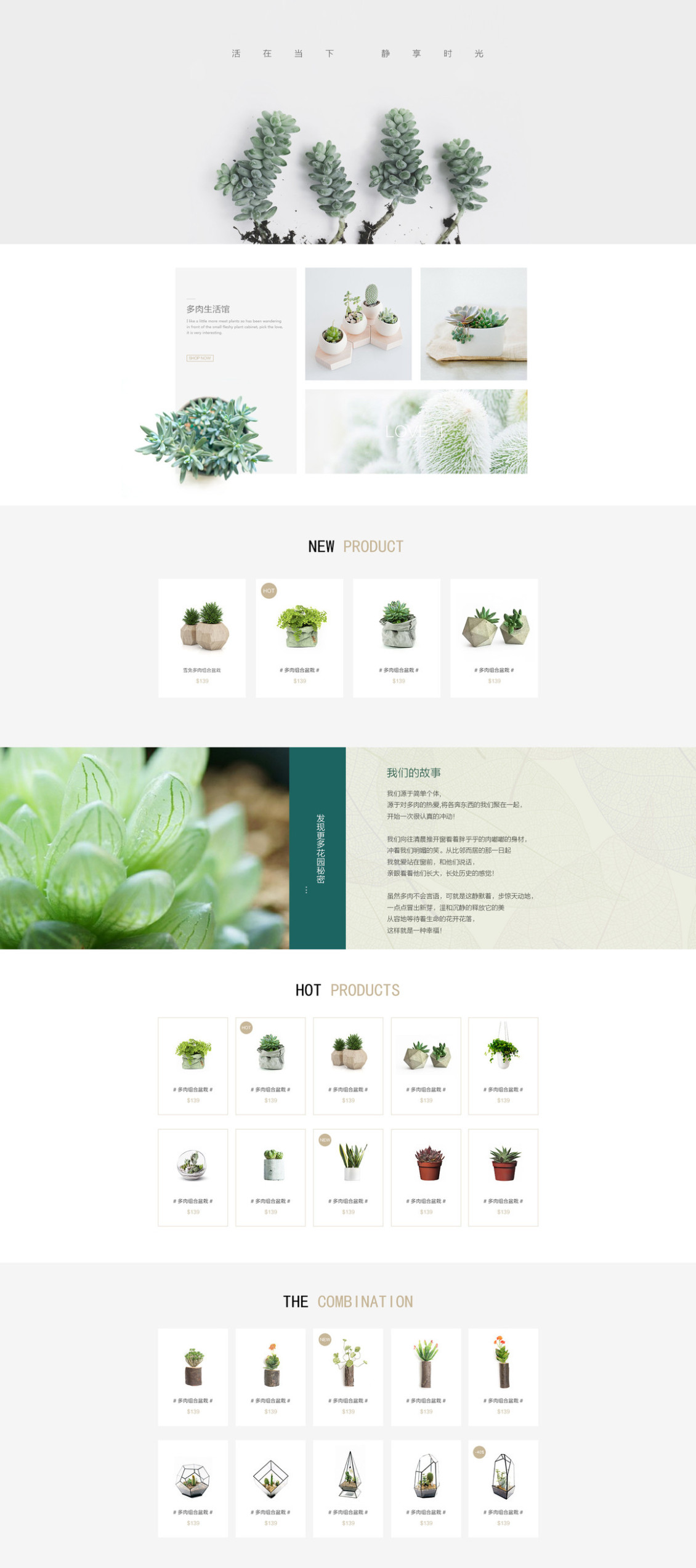 淘寶美工小海王多肉植物組合盆栽 室內(nèi)植物肉嘟嘟滿包郵作品