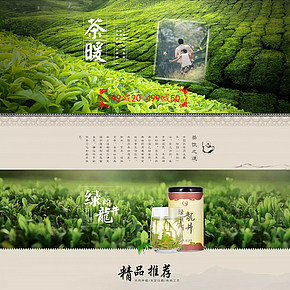 中国风清新大气茶首页设计