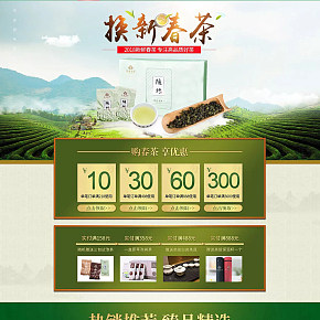 2018新鲜春茶高品质好茶首页设计