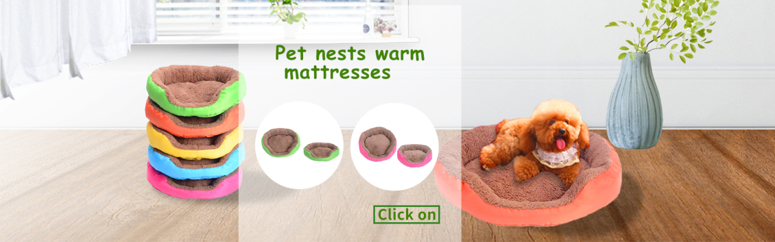 淘宝美工太白宠物可爱坐垫作品